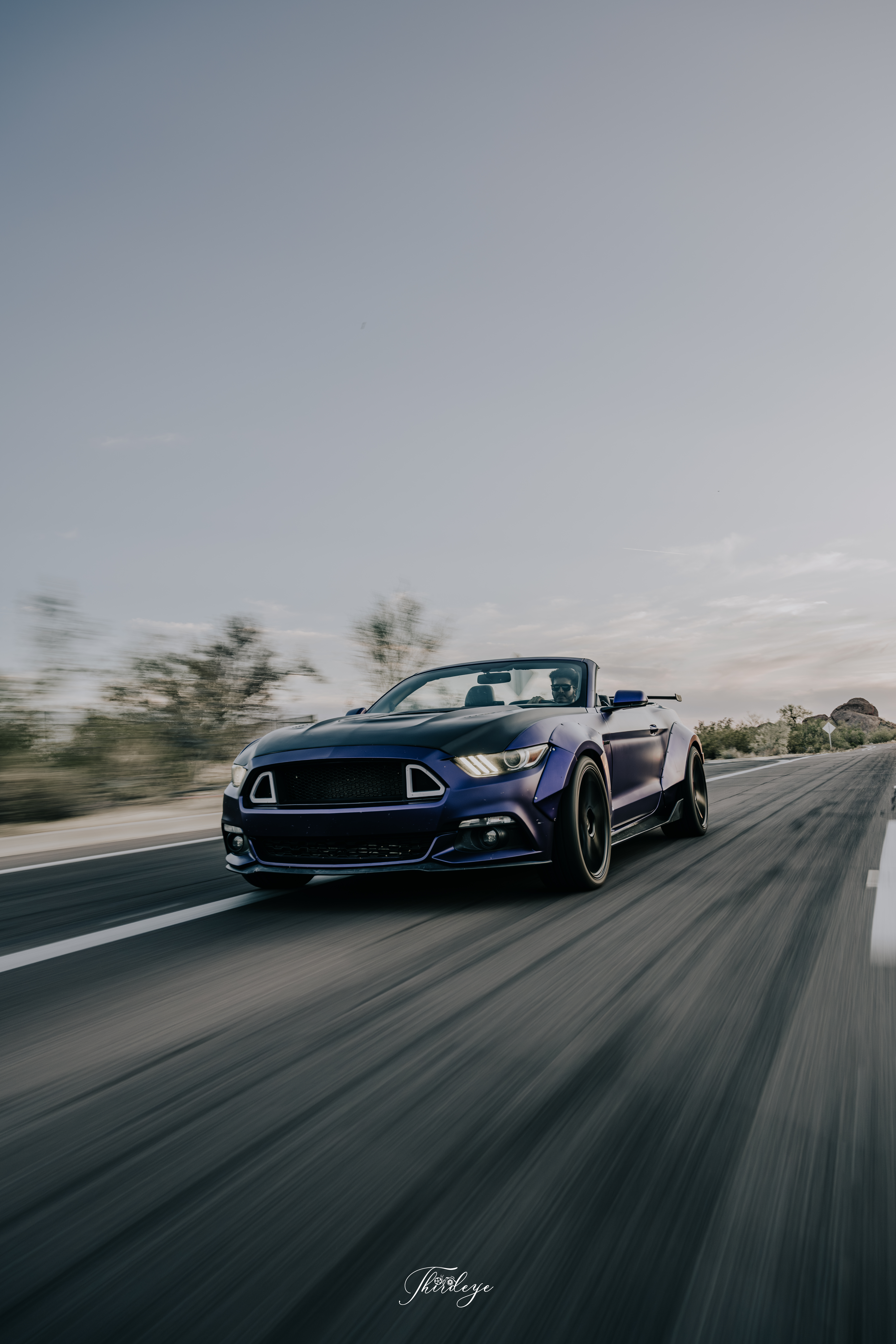 Elegance in Motion
